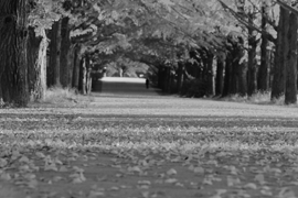 不可解な体験・謎の話～enigma～イメージ画像