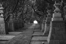 長編イメージ画像